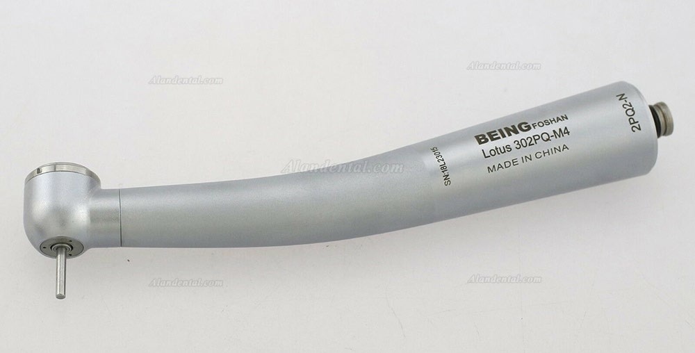 BEING Lotus 302/303PQ High Speed Handpiece NSK Phatelus Coupling 4 Hole